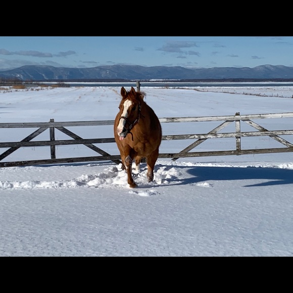 Meet your Posher, Maripier - Picture 1 of 1